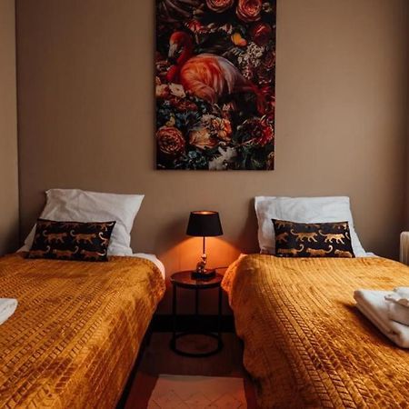 Zoo Apartment Эммен Экстерьер фото